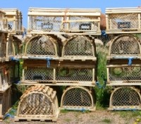 Lobster traps in Lunenburg